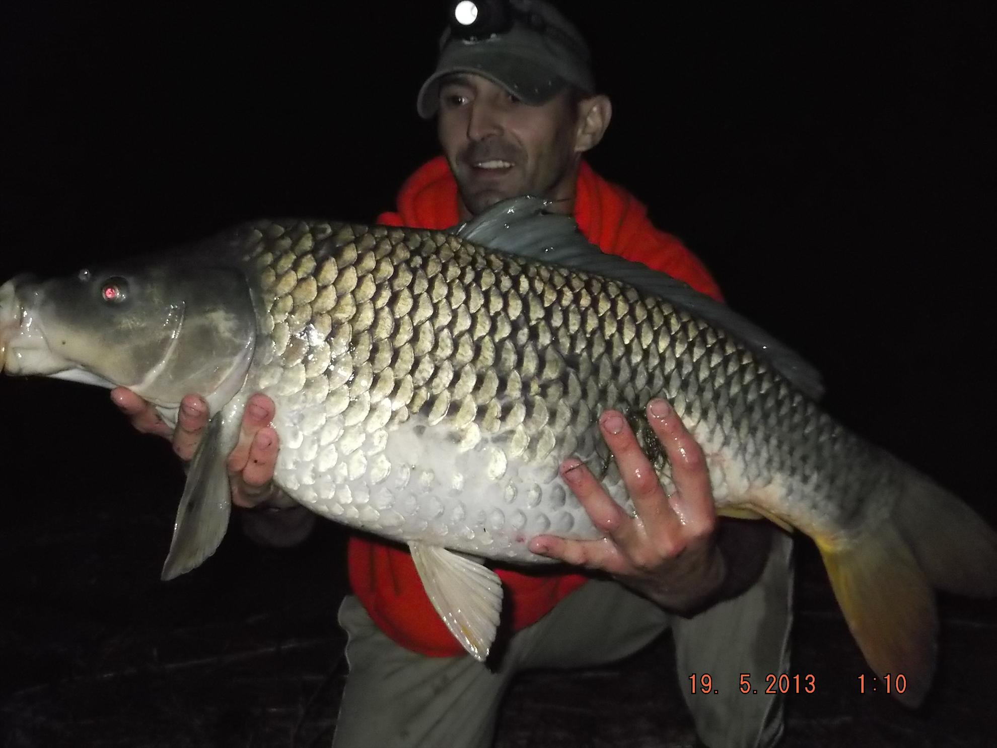 noaptea partea a ll - dscf0608.JPG